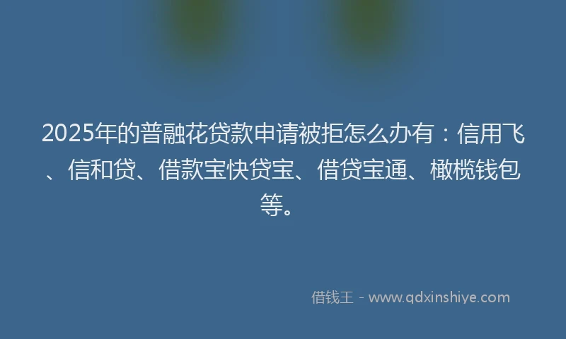 2025年的普融花贷款申请被拒怎么办有：信用飞、信和贷、借款宝快贷宝、借贷宝通、橄榄钱包等。