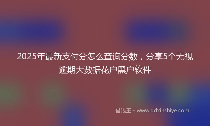 2025年最新支付分怎么查询分数，分享5个无视逾期大数据花户黑户软件
