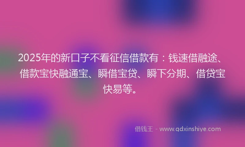 2025年的新口子不看征信借款有：钱速借融途、借款宝快融通宝、瞬借宝贷、瞬下分期、借贷宝快易等。