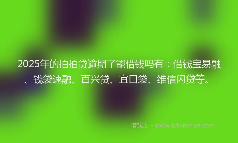 2025年的拍拍贷逾期了能借钱吗有：借钱宝易融、钱袋速融、百兴贷、宜口袋、维信闪贷等。