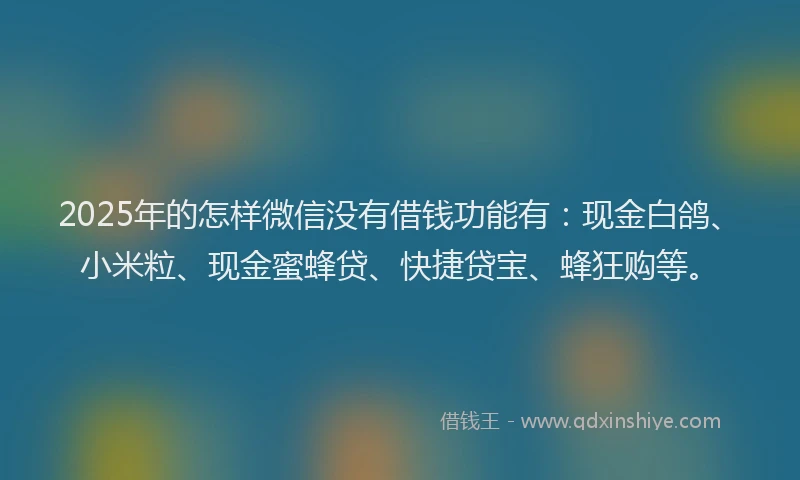 2025年的怎样微信没有借钱功能有：现金白鸽、小米粒、现金蜜蜂贷、快捷贷宝、蜂狂购等。