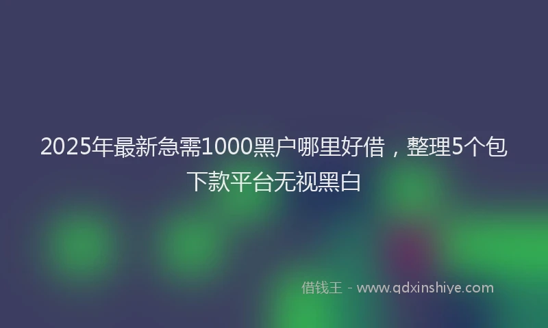 2025年最新急需1000黑户哪里好借，整理5个包下款平台无视黑白