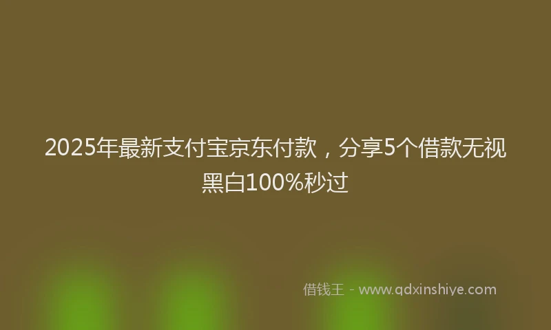 2025年最新支付宝京东付款，分享5个借款无视黑白100%秒过