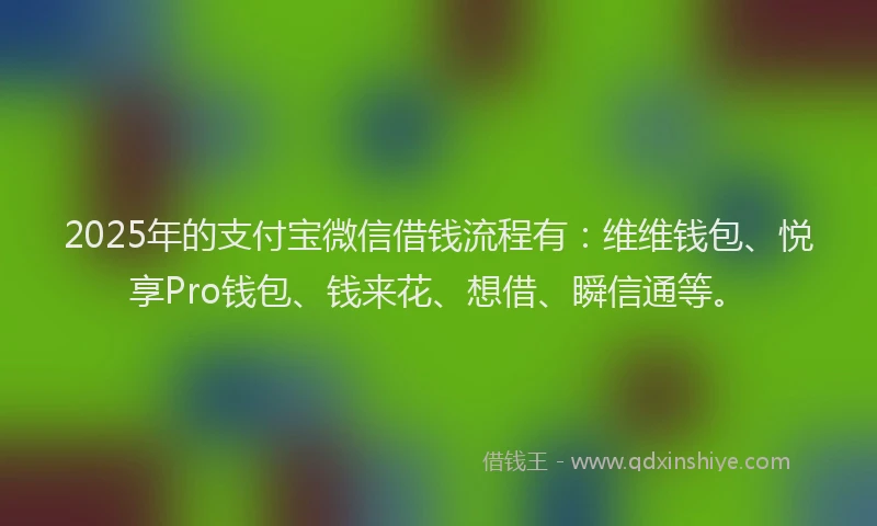 2025年的支付宝微信借钱流程有：维维钱包、悦享Pro钱包、钱来花、想借、瞬信通等。