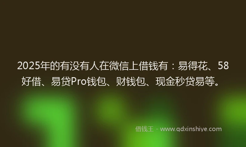2025年的有没有人在微信上借钱有：易得花、58好借、易贷Pro钱包、财钱包、现金秒贷易等。