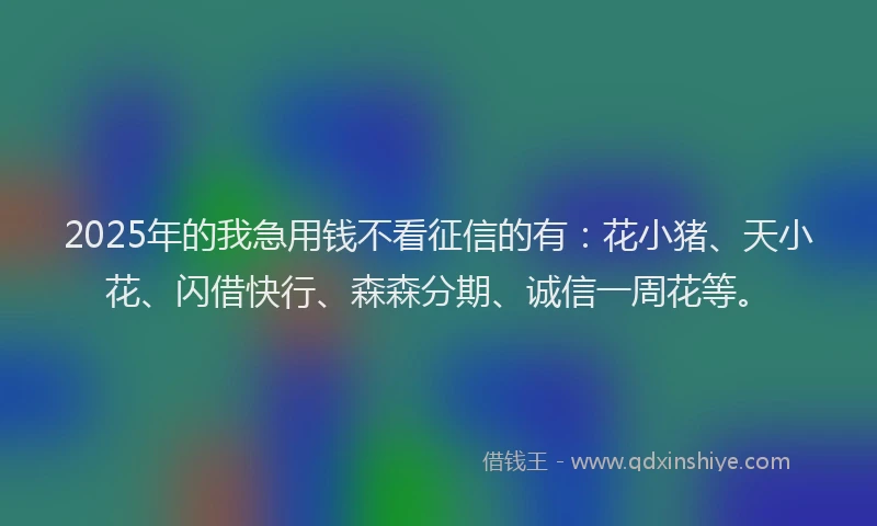 2025年的我急用钱不看征信的有:花小猪、天小花、闪借快行、森森分期、诚信一周花等。