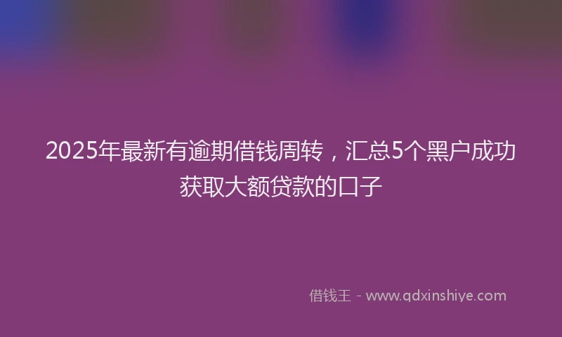 2025年最新有逾期借钱周转，汇总5个黑户成功获取大额贷款的口子