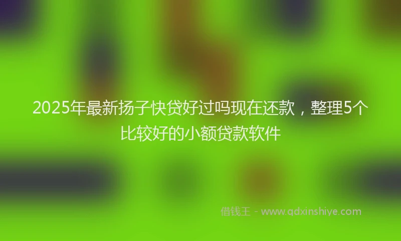 2025年最新扬子快贷好过吗现在还款，整理5个比较好的小额贷款软件