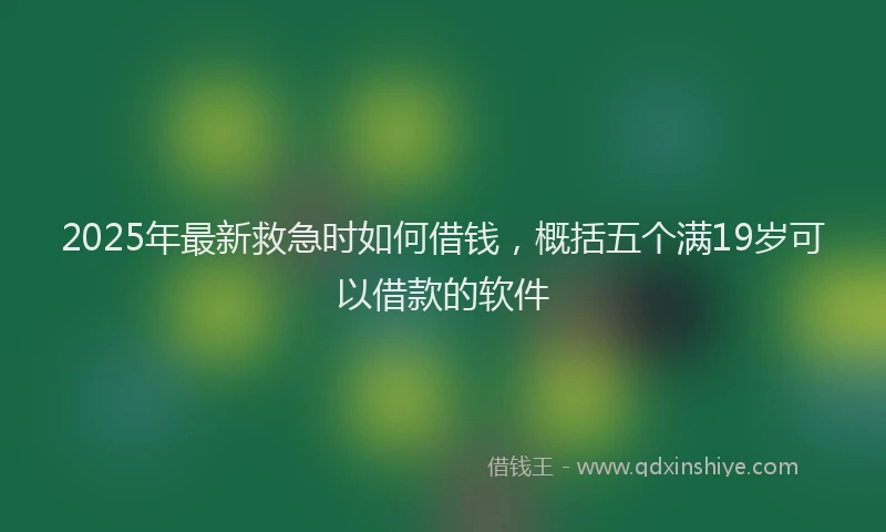 2025年最新救急时如何借钱，概括五个满19岁可以借款的软件