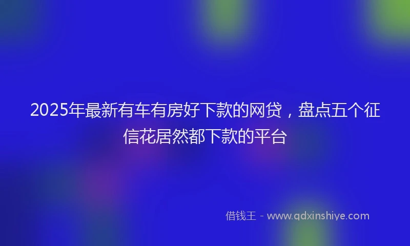 2025年最新有车有房好下款的网贷，盘点五个征信花居然都下款的平台