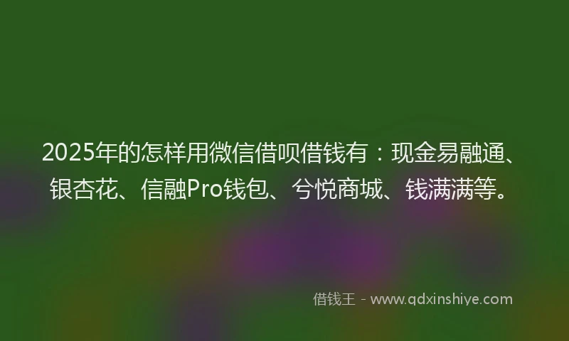 2025年的怎样用微信借呗借钱有：现金易融通、银杏花、信融Pro钱包、兮悦商城、钱满满等。