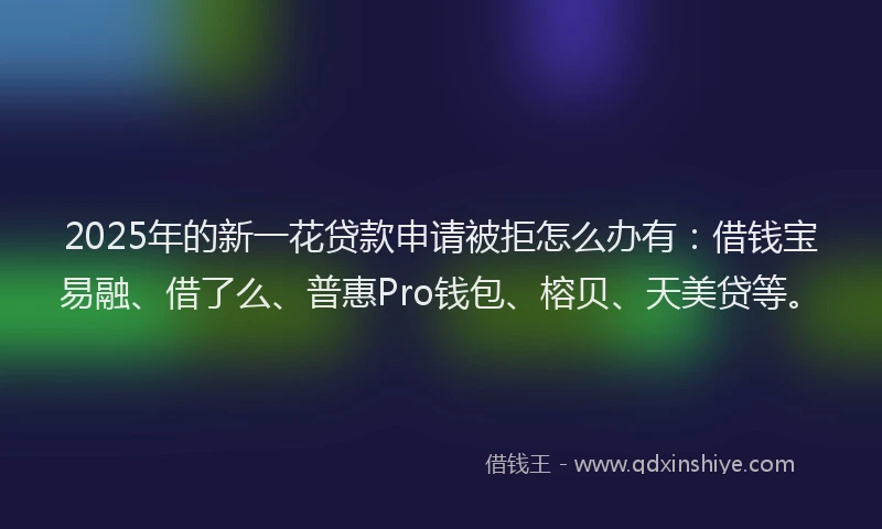 2025年的新一花贷款申请被拒怎么办有：借钱宝易融、借了么、普惠Pro钱包、榕贝、天美贷等。