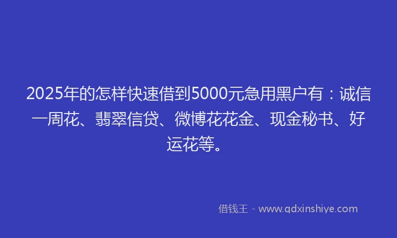 2025年的怎样快速借到5000元急用黑户有：诚信一周花、翡翠信贷、微博花花金、现金秘书、好运花等。