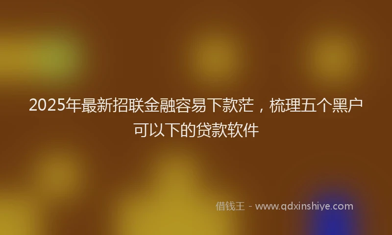 2025年最新招联金融容易下款茫，梳理五个黑户可以下的贷款软件