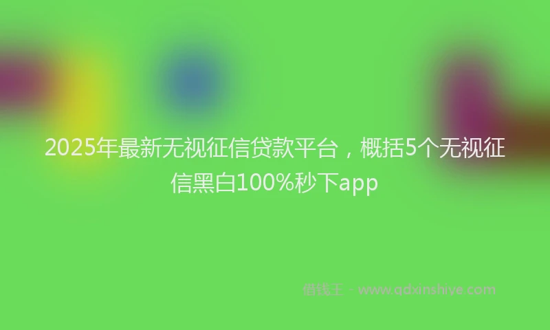 2025年最新无视征信贷款平台，概括5个无视征信黑白100%秒下app