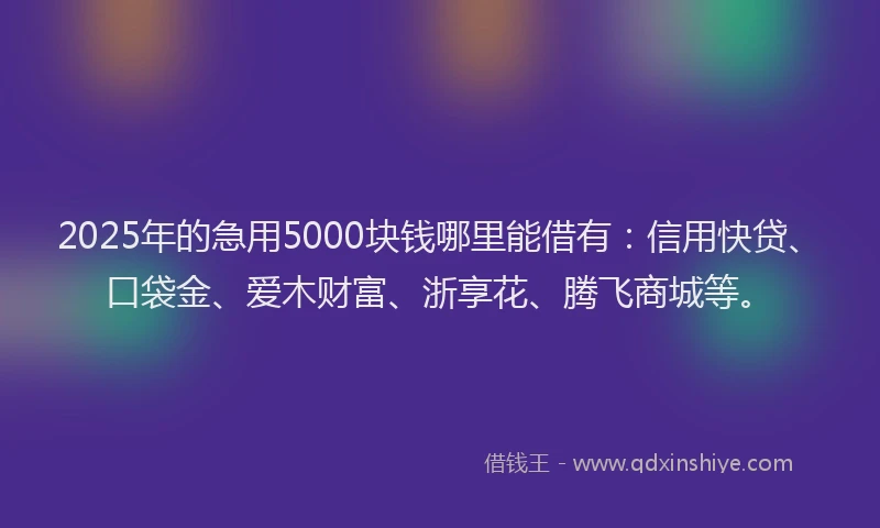 2025年的急用5000块钱哪里能借有：信用快贷、口袋金、爱木财富、浙享花、腾飞商城等。