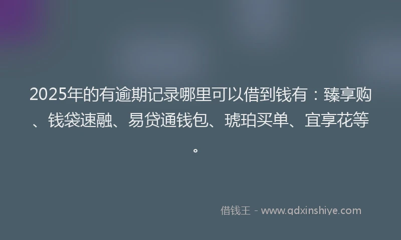 2025年的有逾期记录哪里可以借到钱有：臻享购、钱袋速融、易贷通钱包、琥珀买单、宜享花等。