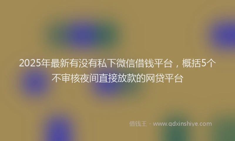2025年最新有没有私下微信借钱平台，概括5个不审核夜间直接放款的网贷平台