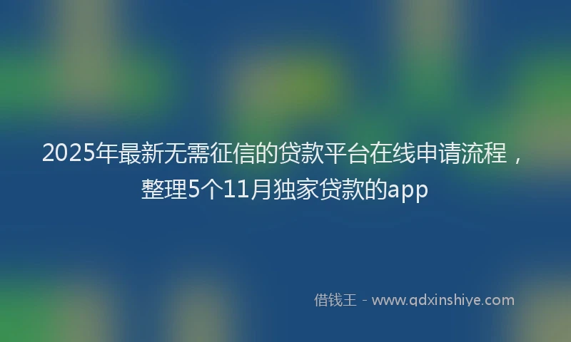 2025年最新无需征信的贷款平台在线申请流程，整理5个11月独家贷款的app