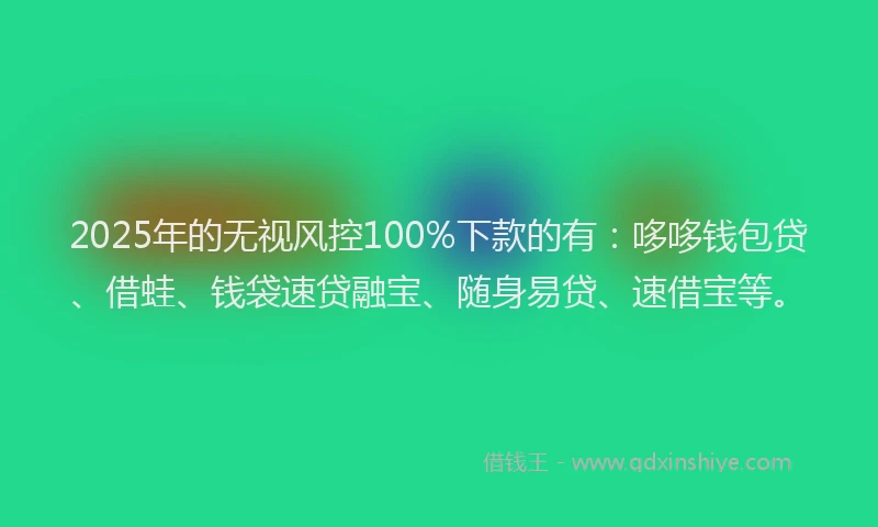 2025年的无视风控100%下款的有：哆哆钱包贷、借蛙、钱袋速贷融宝、随身易贷、速借宝等。