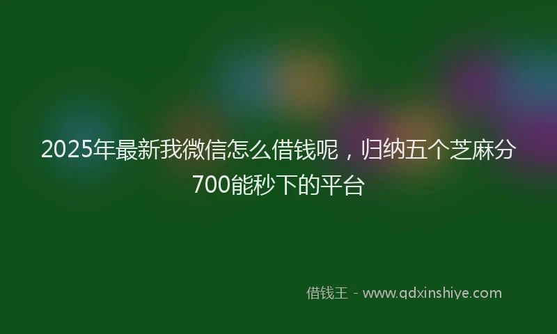 2025年最新我微信怎么借钱呢，归纳五个芝麻分700能秒下的平台