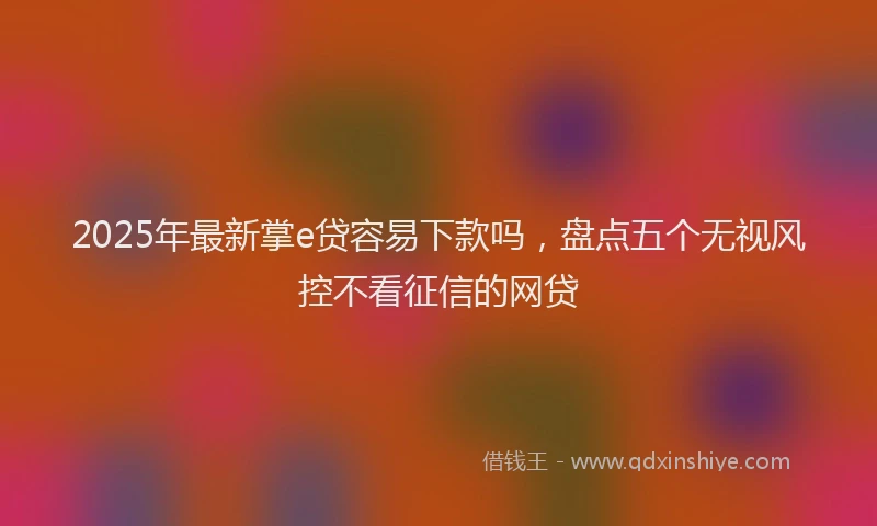2025年最新掌e贷容易下款吗，盘点五个无视风控不看征信的网贷