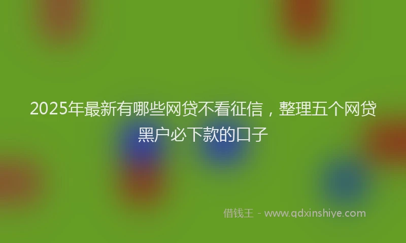2025年最新有哪些网贷不看征信，整理五个网贷黑户必下款的口子
