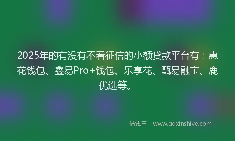 2025年的有没有不看征信的小额贷款平台有：惠花钱包、鑫易Pro+钱包、乐享花、甄易融宝、鹿优选等。