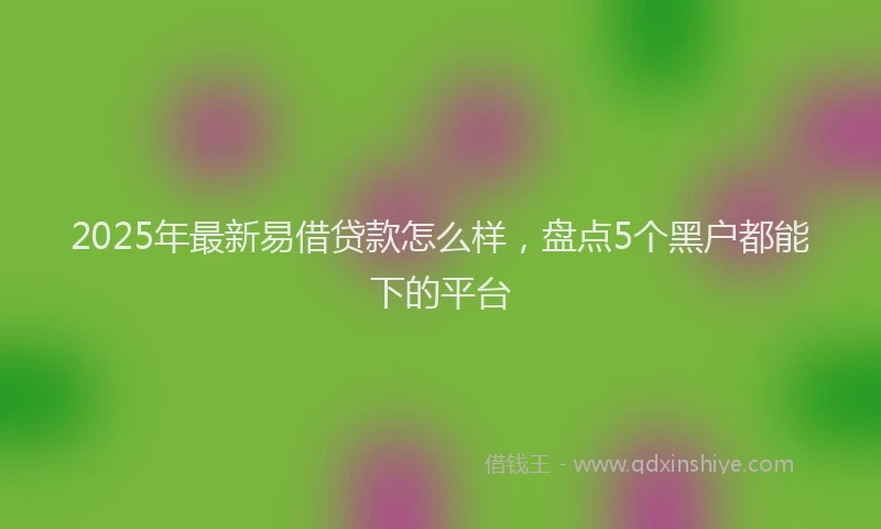 2025年最新易借贷款怎么样，盘点5个黑户都能下的平台