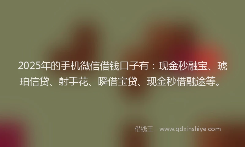 2025年的手机微信借钱口子有：现金秒融宝、琥珀信贷、射手花、瞬借宝贷、现金秒借融途等。
