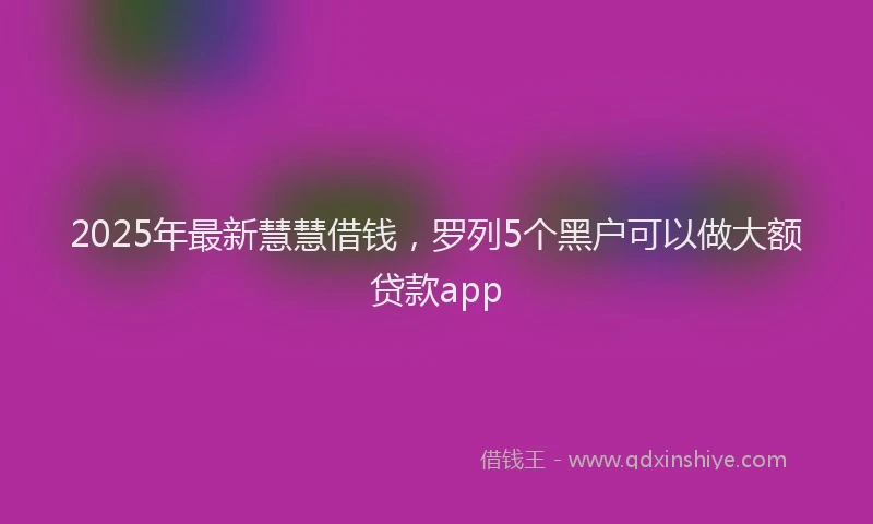2025年最新慧慧借钱，罗列5个黑户可以做大额贷款app