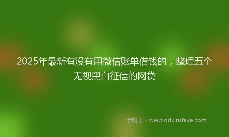 2025年最新有没有用微信账单借钱的，整理五个无视黑白征信的网贷