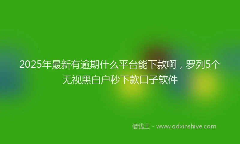 2025年最新有逾期什么平台能下款啊，罗列5个无视黑白户秒下款口子软件