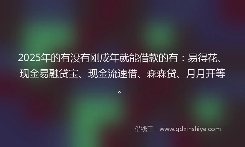 2025年的有没有刚成年就能借款的有：易得花、现金易融贷宝、现金流速借、森森贷、月月开等。