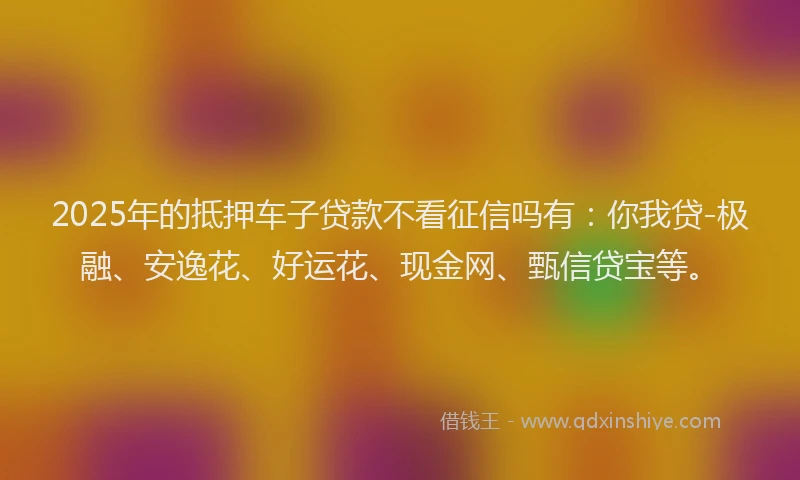2025年的抵押车子贷款不看征信吗有：你我贷-极融、安逸花、好运花、现金网、甄信贷宝等。