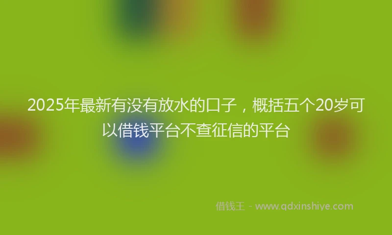 2025年最新有没有放水的口子，概括五个20岁可以借钱平台不查征信的平台
