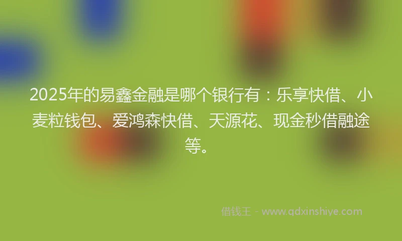 2025年的易鑫金融是哪个银行有：乐享快借、小麦粒钱包、爱鸿森快借、天源花、现金秒借融途等。