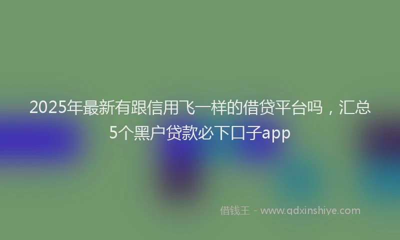 2025年最新有跟信用飞一样的借贷平台吗，汇总5个黑户贷款必下口子app