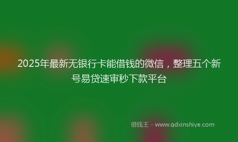 2025年最新无银行卡能借钱的微信，整理五个新号易贷速审秒下款平台
