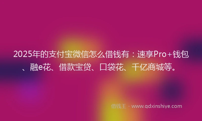 2025年的支付宝微信怎么借钱有：速享Pro+钱包、融e花、借款宝贷、口袋花、千亿商城等。