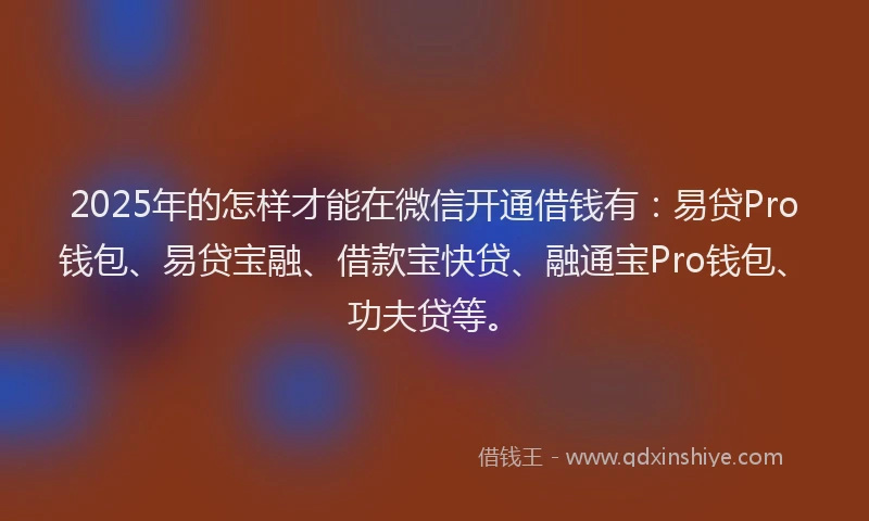 2025年的怎样才能在微信开通借钱有：易贷Pro钱包、易贷宝融、借款宝快贷、融通宝Pro钱包、功夫贷等。