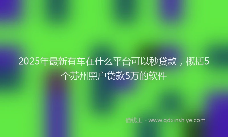 2025年最新有车在什么平台可以秒贷款，概括5个苏州黑户贷款5万的软件
