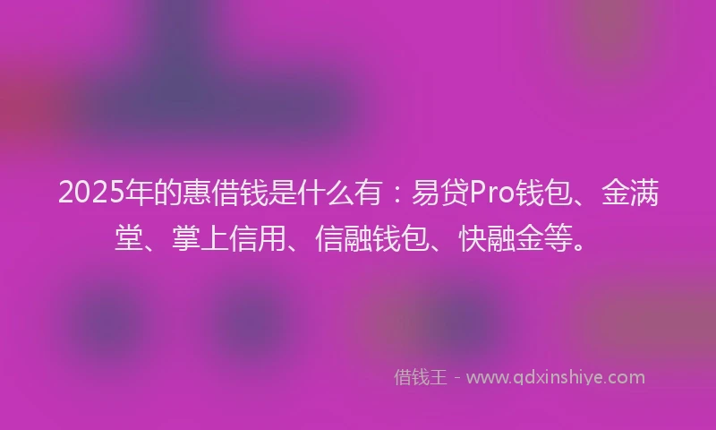 2025年的惠借钱是什么有：易贷Pro钱包、金满堂、掌上信用、信融钱包、快融金等。