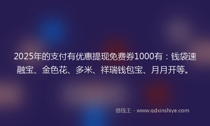2025年的支付有优惠提现免费券1000有：钱袋速融宝、金色花、多米、祥瑞钱包宝、月月开等。