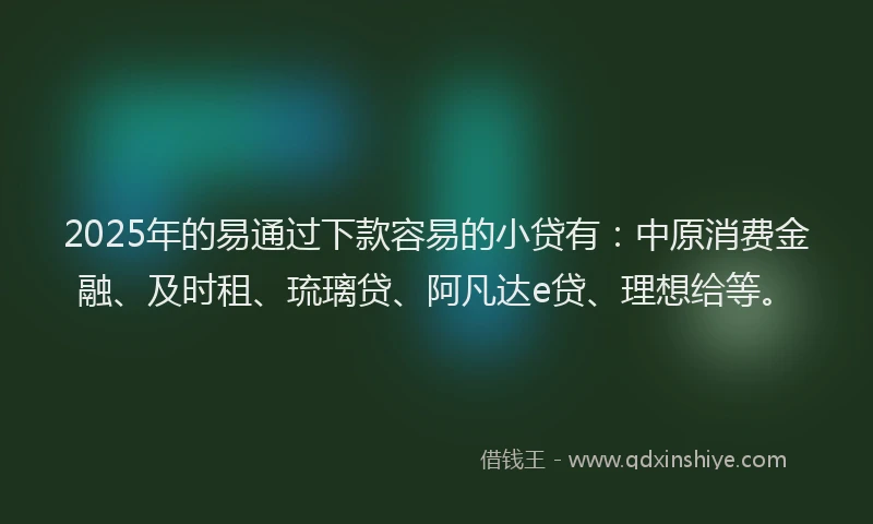 2025年的易通过下款容易的小贷有：中原消费金融、及时租、琉璃贷、阿凡达e贷、理想给等。