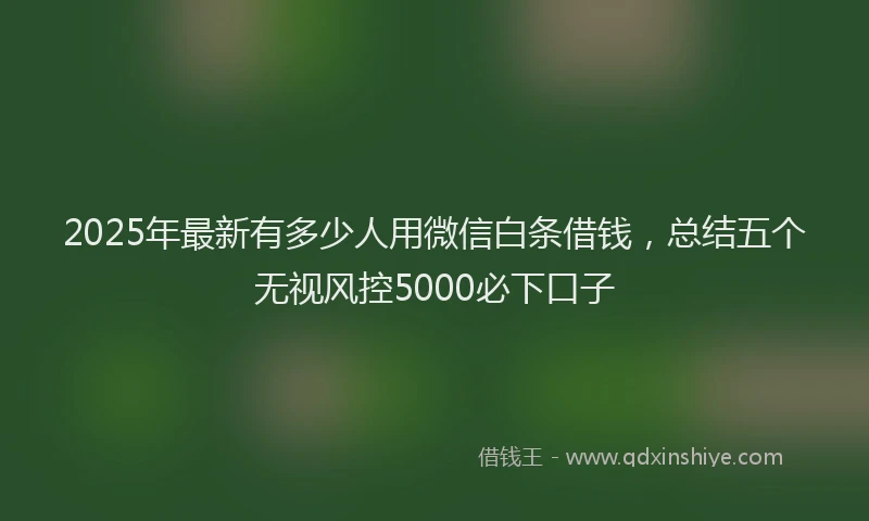 2025年最新有多少人用微信白条借钱，总结五个无视风控5000必下口子