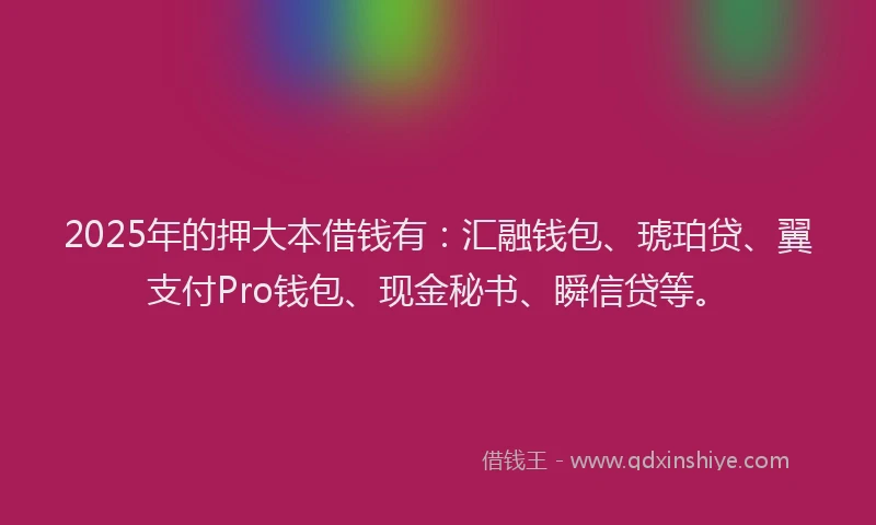 2025年的押大本借钱有：汇融钱包、琥珀贷、翼支付Pro钱包、现金秘书、瞬信贷等。