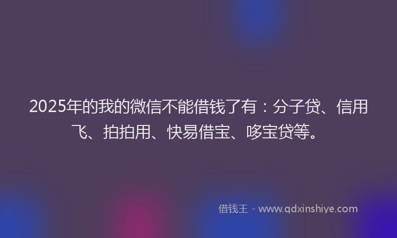 2025年的我的微信不能借钱了有：分子贷、信用飞、拍拍用、快易借宝、哆宝贷等。