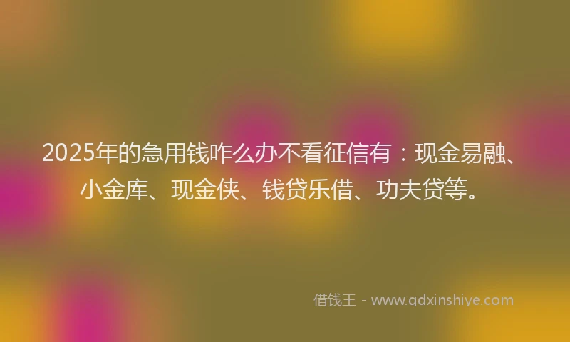 2025年的急用钱咋么办不看征信有：现金易融、小金库、现金侠、钱贷乐借、功夫贷等。