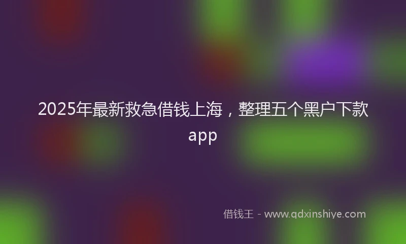 2025年最新救急借钱上海，整理五个黑户下款app